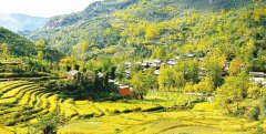 村史村事百村行丨妥乐村：开启“金彩”村落的